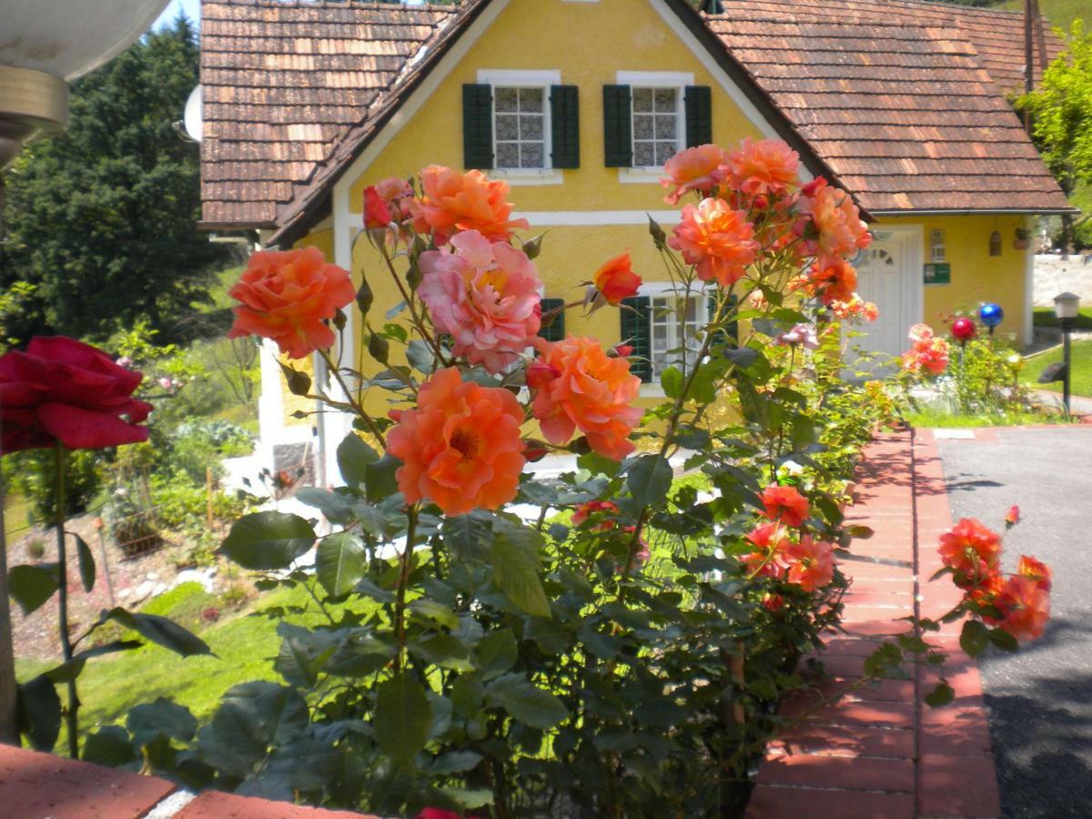 Buchschneider - Ferienhaus Maier - Landhof Schwarzautal Exterior foto