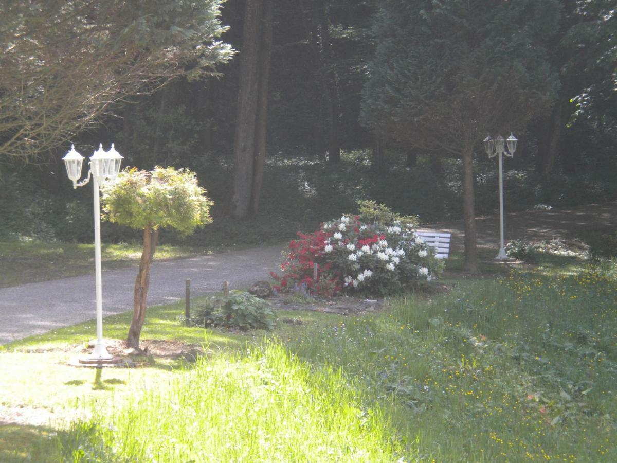 Buchschneider - Ferienhaus Maier - Landhof Schwarzautal Exterior foto